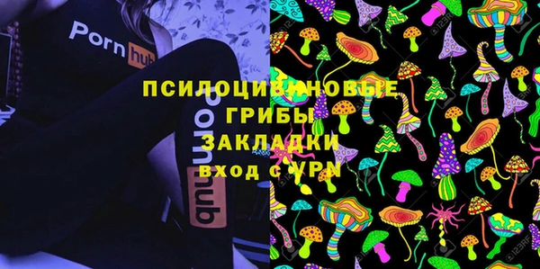 кокс Осташков